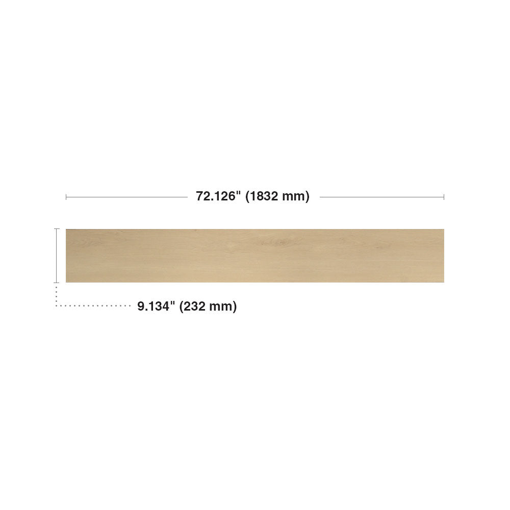 Parchemin antique #2806