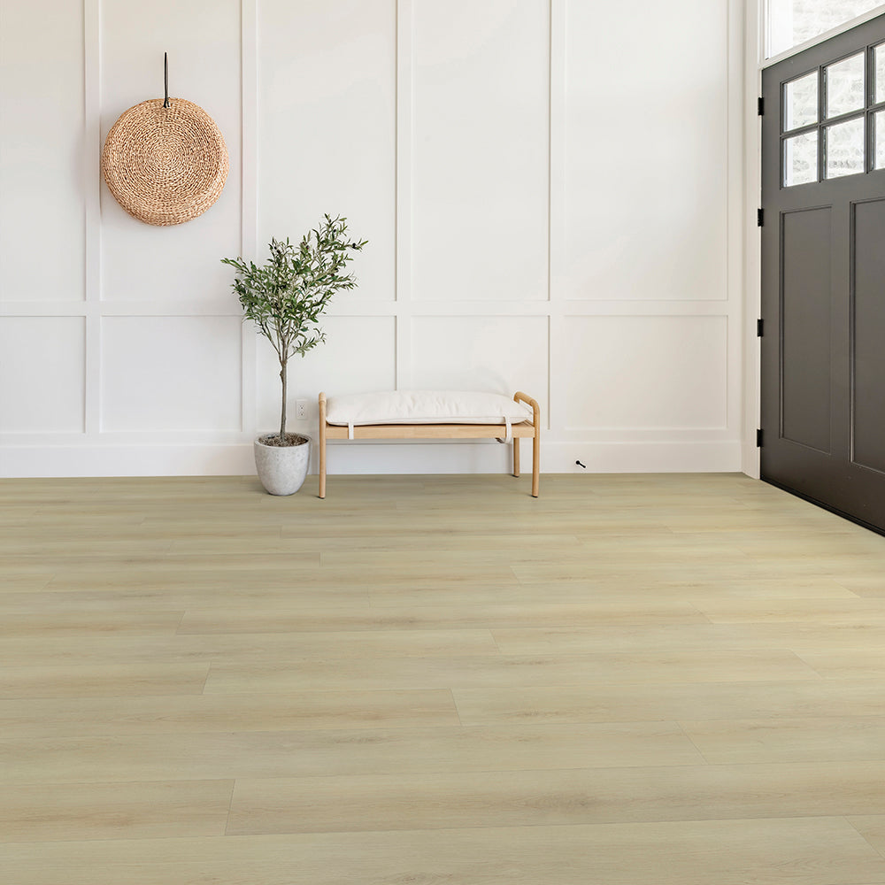 Parchemin antique #2806