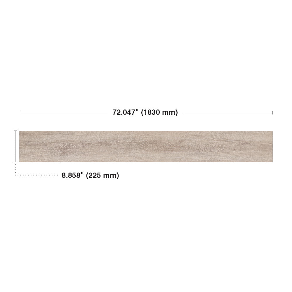 Macadamia #6036