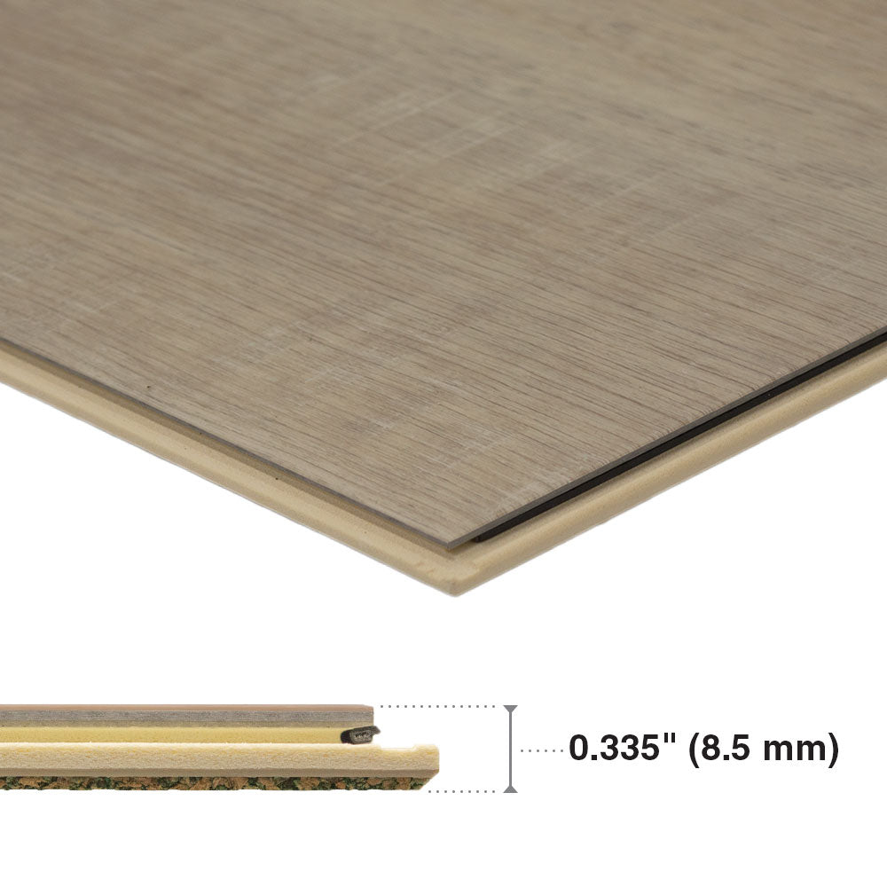 Macadamia #6036