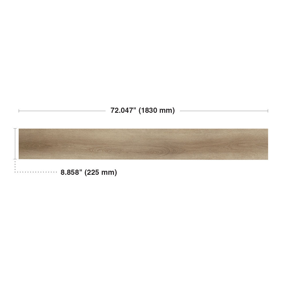 Orge #6049