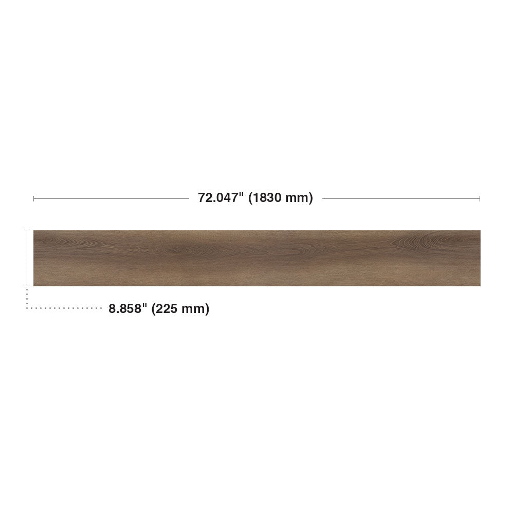 Nigella #6053
