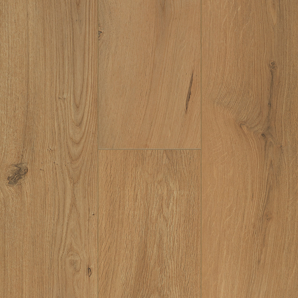 Gyant warm natural #b2501