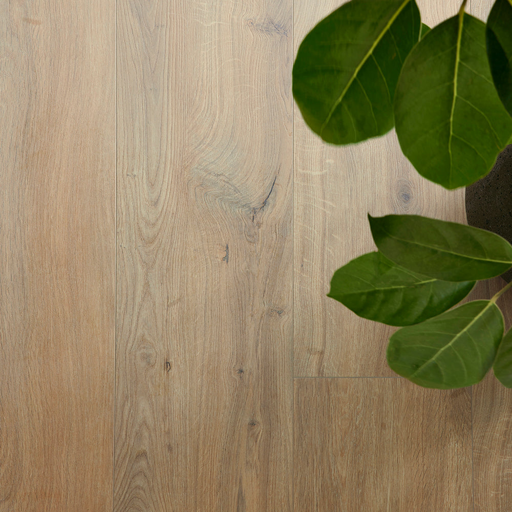 Gyant warm natural #b2501