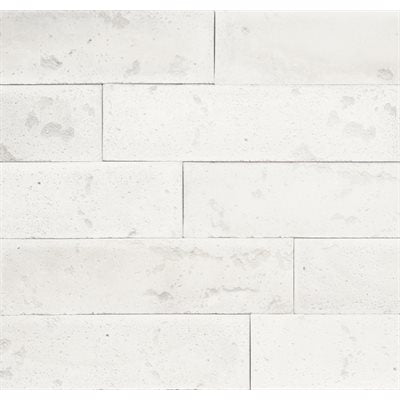 Parement de Béton