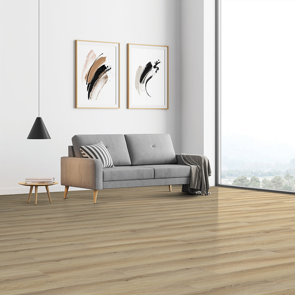 Ostro #2381