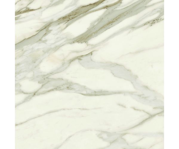 24X24 Marvel Meraviglia Calacatta Bernini Matte Rt.