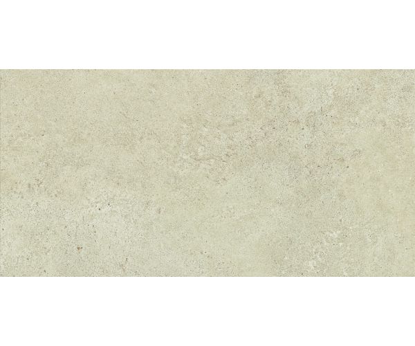 24X48 Boost Vision Camel Matte Rt