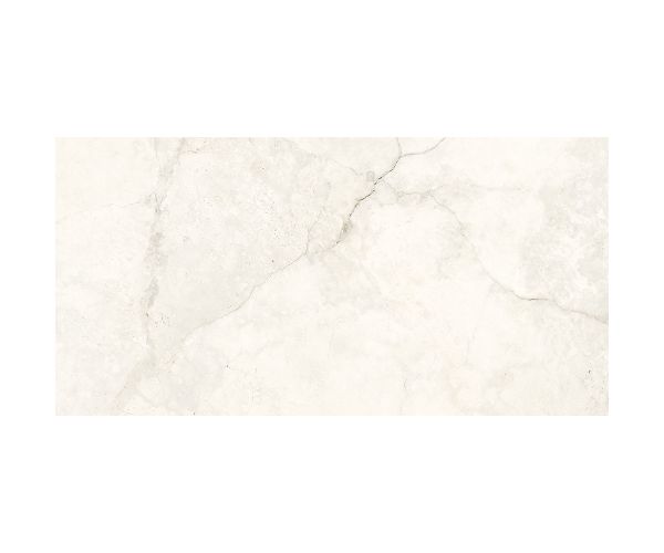 24X48 Cronos Marfil Nat Rt