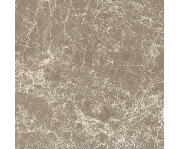 12X12 Classica Dark Emperador Matt Rt
