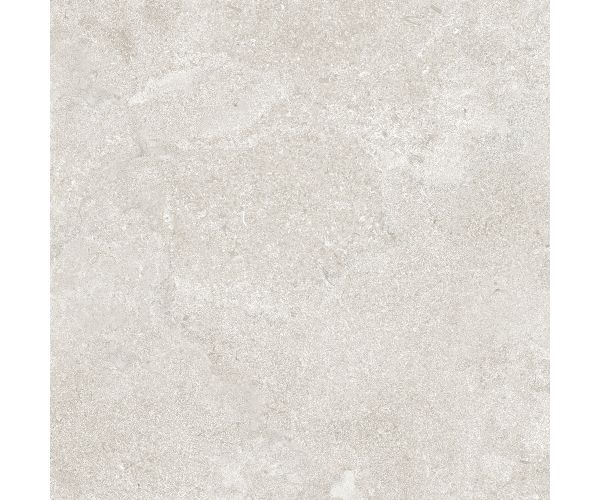 24X24 Cruise Bianco Mt Rt