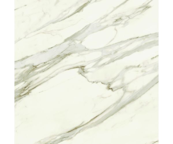 48X48 Marvel Meraviglia Calacatta Bernini Lap. Rt.