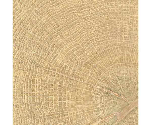 4X4 W-Circles Oak Nat.