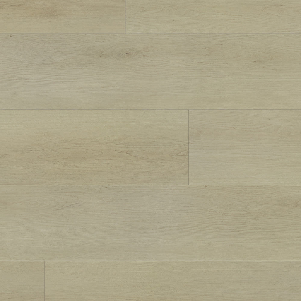 Parchemin antique #2806