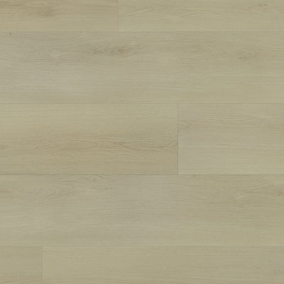Parchemin antique #2806