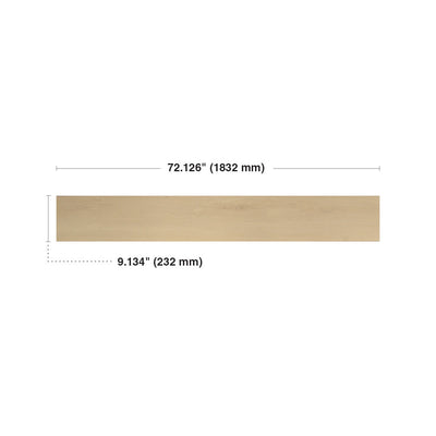 Parchemin antique #2806