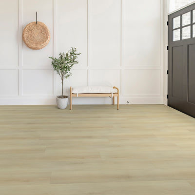 Parchemin antique #2806