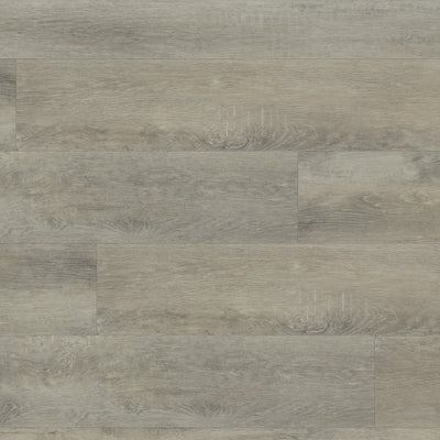 Macadamia #6036
