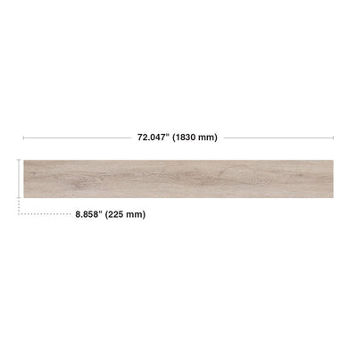 Macadamia #6036