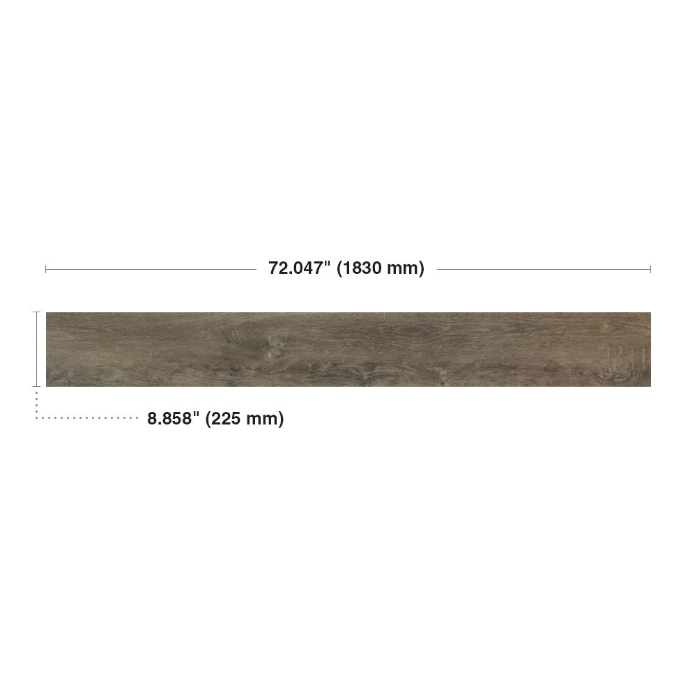 Hanza #6039