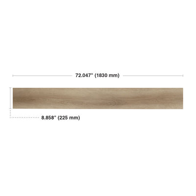 Orge #6049