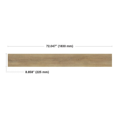 Marcona #6052