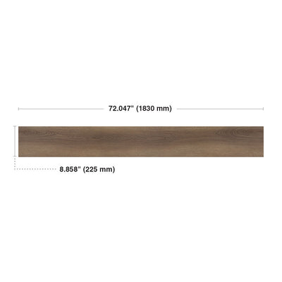 Nigella #6053