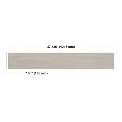 Agostino xtra #8080