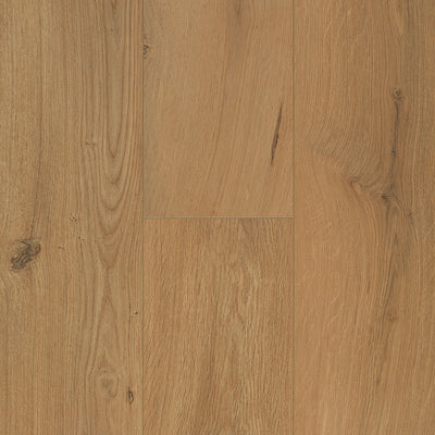 Gyant warm natural #b2501