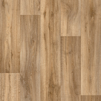 Brun sauvage #b0207