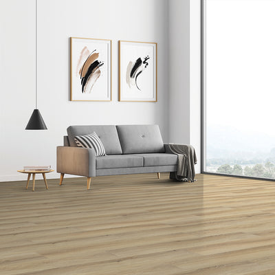 Ostro #2381