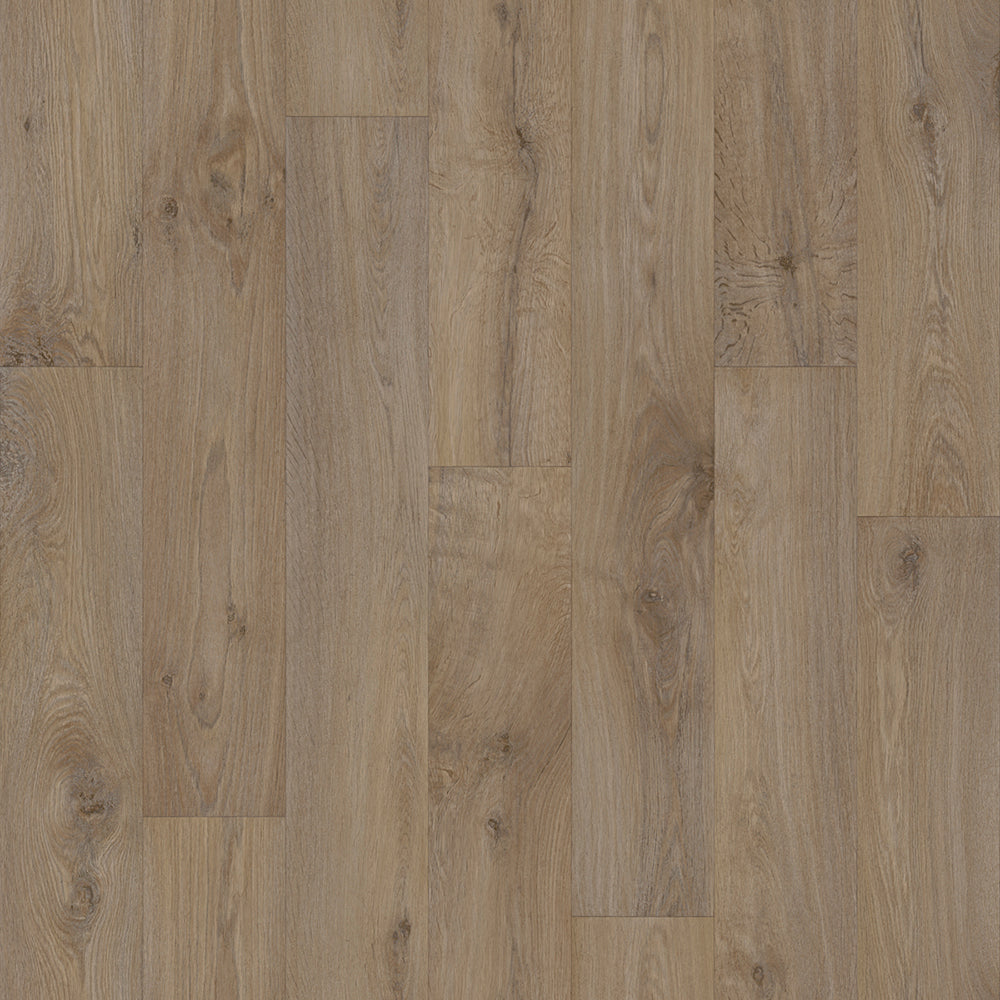 Chêne amberline #b0244