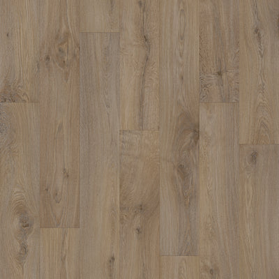 Chêne amberline #b0244