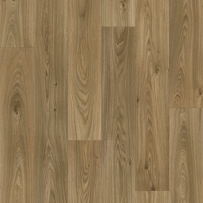 Sommet ambre #b0104