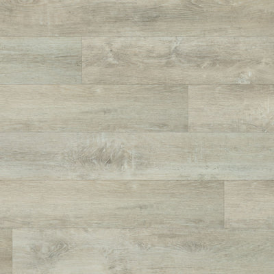 Halcyon #2163