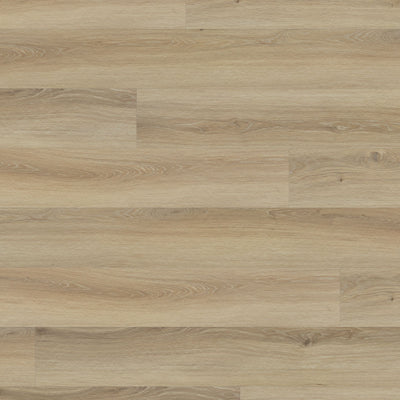 Ostro #2381