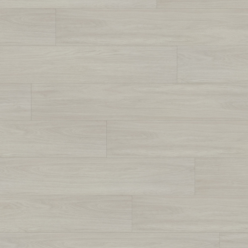 Agostino xtra #8080