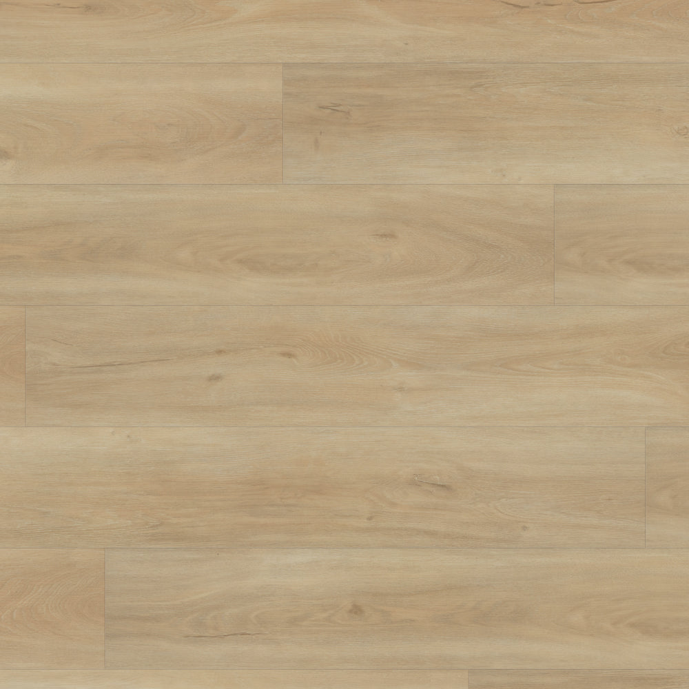 Demoiselle #2193