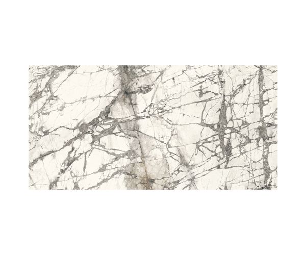 Maxfine Marmi 6mm Calacatta Grey Nat (59X118po)