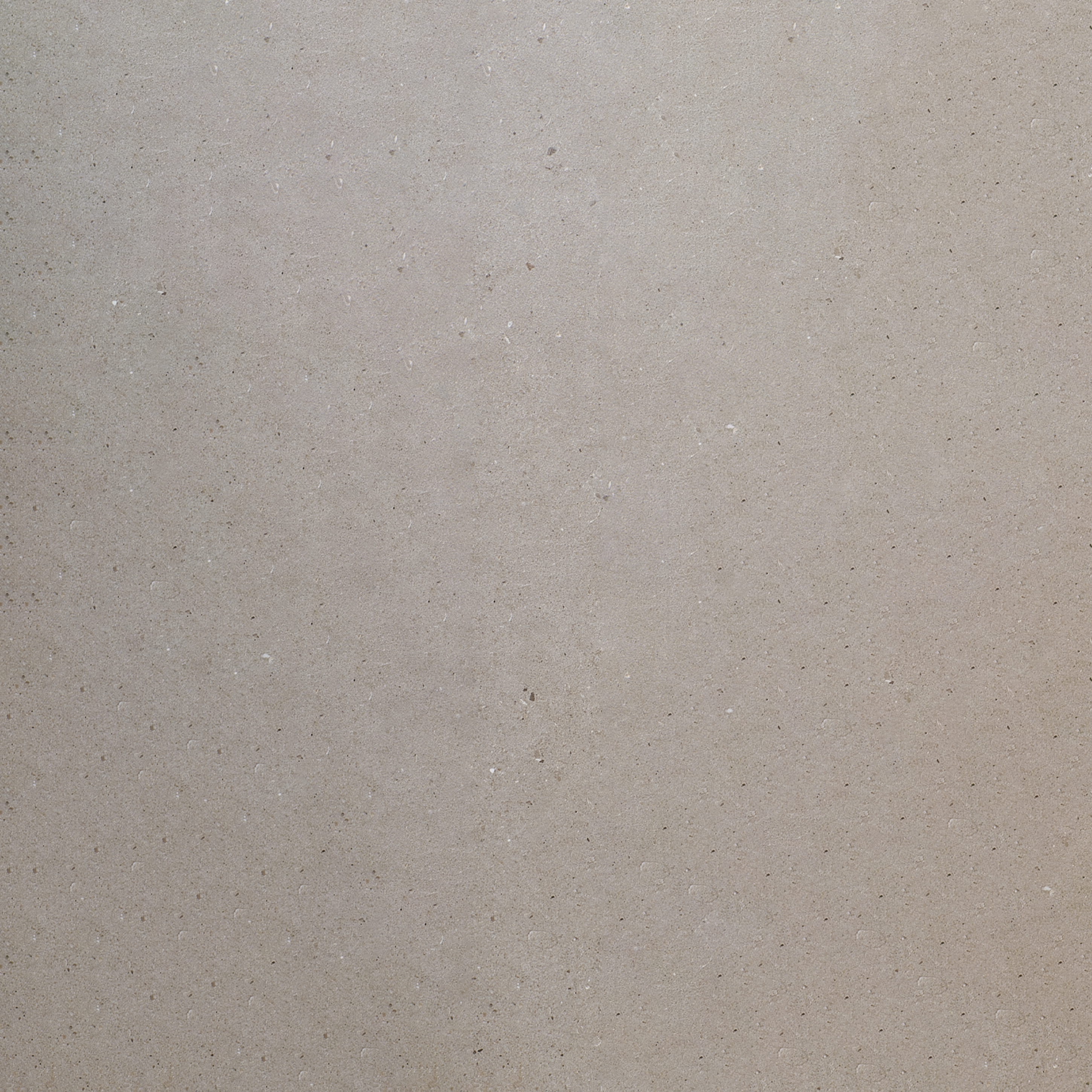 Silver Grain