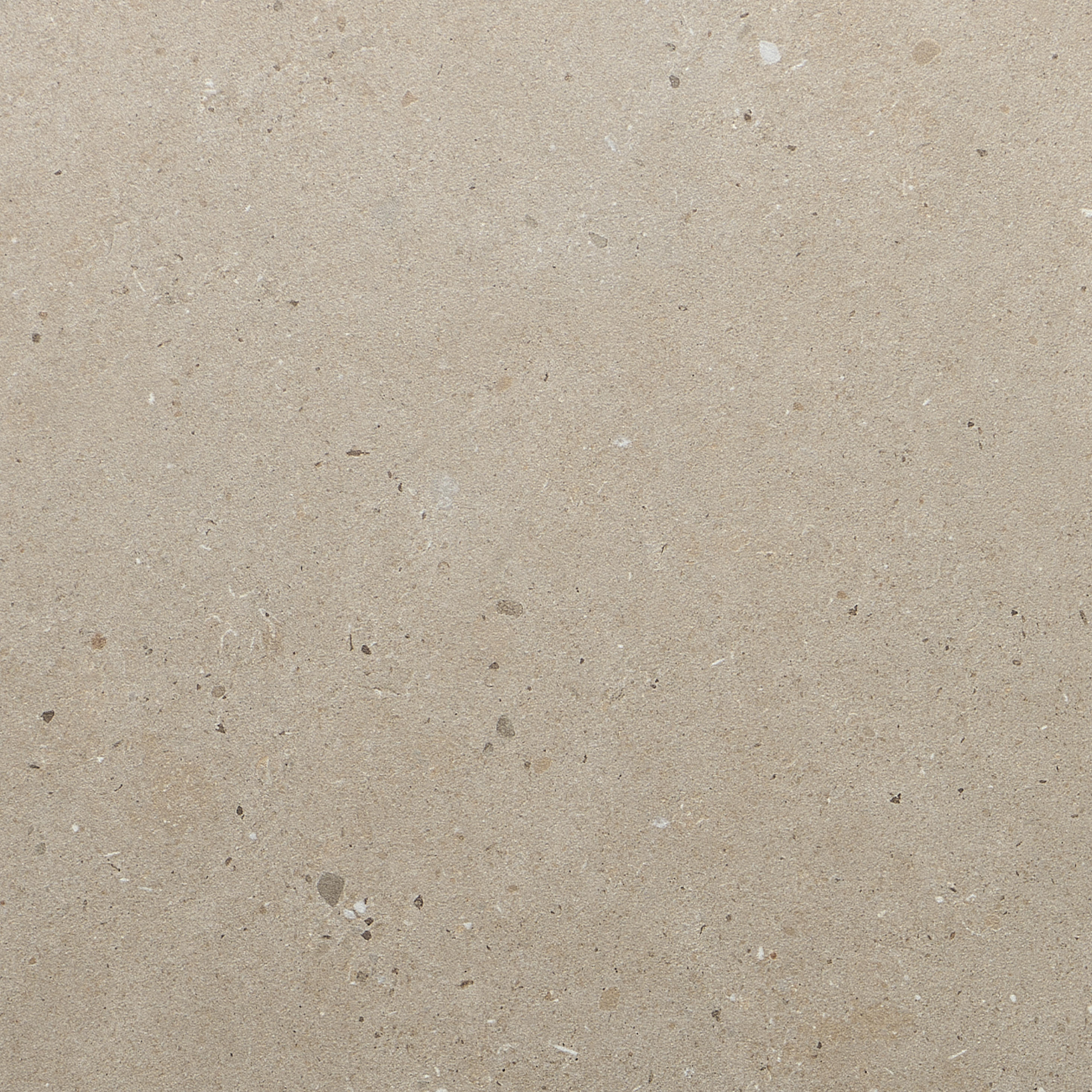Silver Grain