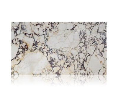 12X24 Calacatta Viola Poli