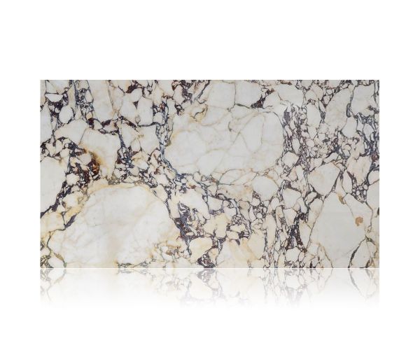 12X24 Calacatta Viola Poli