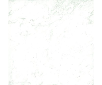 12X12 Classica Carrara Matt Rt