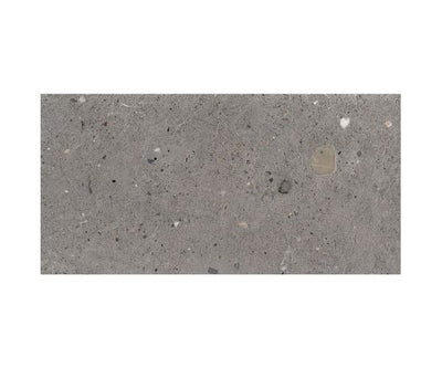 12X24 Ego Grigio Scuro Nat.