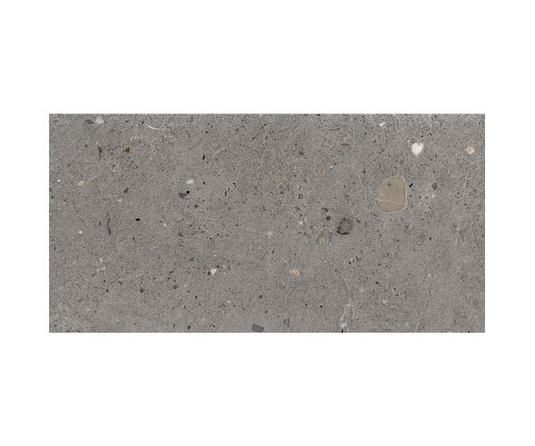 12X24 Ego Grigio Scuro Nat.
