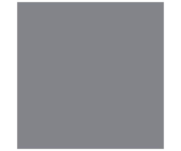 24X24 Essenza Grigio Matt Rt
