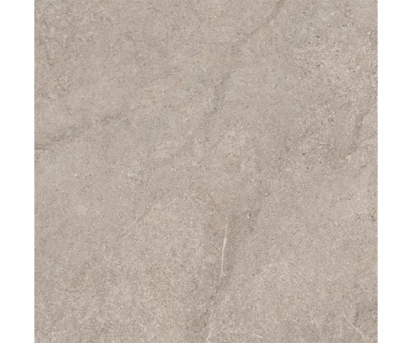 24X24 Evolution Light Grey Nat. Rt