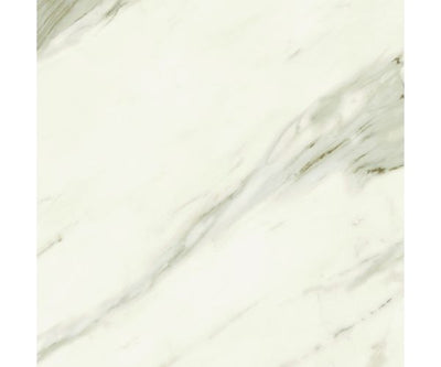 24X24 Marvel Meraviglia Calacatta Bernini Matte Rt.