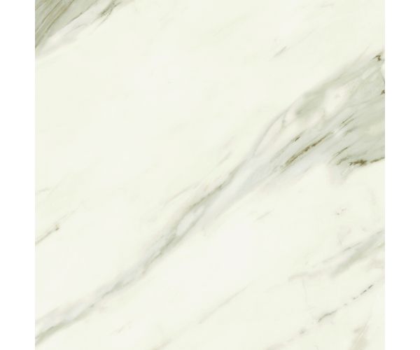 24X24 Marvel Meraviglia Calacatta Bernini Matte Rt.